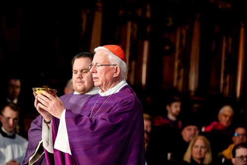 Stephansdom: Österreich nahm Abschied von Papst Franziskus / Erzdiözese Wien/ Schönlaub, Stephan Schönlaub Stephansdom: Österreich nahm Abschied von Papst Franziskus